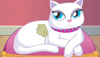 Gioca a Le Fusa - Animal Scratch