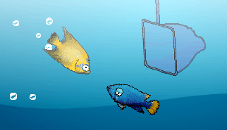 L'acquario - Aquarium Scoop Hotshot: acquario, pesca, animali, pesci