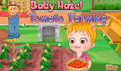 Gioca a Baby Hazel Tomato Farming