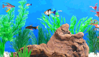 L'Acquario - Fish Tycoon: tycoon, simulazione, gestionali, acquario, animali, pesci