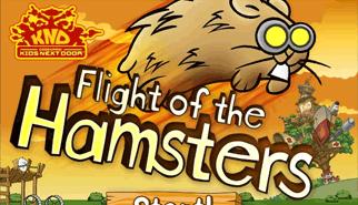 Gioca a Flight of the Hamsters