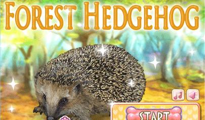 Gioca a Il Riccio - Forest Hedgehog