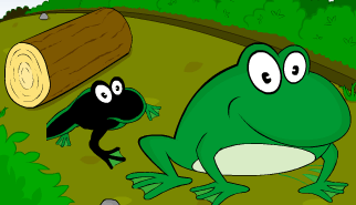 Frog Race: gare, animali, rane, corsa ad ostacoli