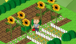 Il Giardiniere - Growing for Life: giardino, fiori