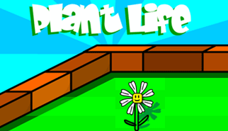 La Margherita - Plant Life: fiori