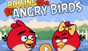 Rolling Angry Birds