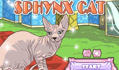 Gioca a Gatto Sfinge - Sphynx Cat