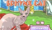 Gatto Sfinge - Sphynx Cat