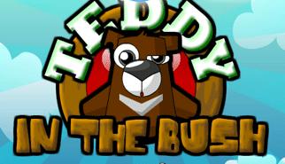Gioca a Teddy In The Bush