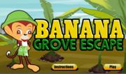 Banana Grove Escape