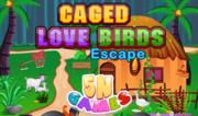 Caged Love Birds Escape