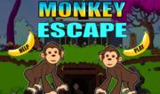Scimmietta in Gabbia - Garden Monkey Escape
