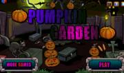 Halloween Pumpkin Garden