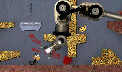 La Scimmia - Infinite Monkeys: piattaforme, uscita, animali, scimmie