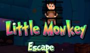 Little Monkey Escape