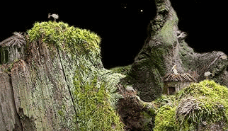 Samorost: samorost, punta e clicca, haluz, surreali