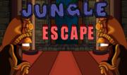 Strange Jungle Escape