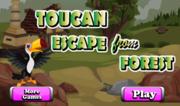 Toucan Escape From Forest