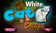 White Cat Escape