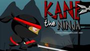 Kane The Ninja