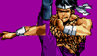 Karate Blazers: lotta, picchiaduro, azione scorrevole, street fighting, arcade, console, karate