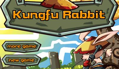 Gioca a Kungfu Rabbit