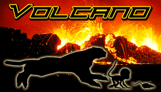 Volcano: animali, scimmie, pantere, topi, fuoco