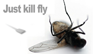 La Mosca - Just Kill Fly: insetti, mosche
