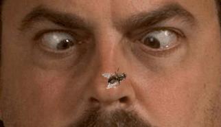 Gioca a Le Mosche - Pedro Fly Catch