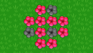 I Fiori - Red Flowers: ragionamento, fiori