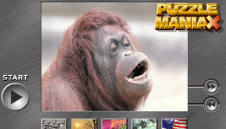 Puzzle Maniax: puzzle, incastri