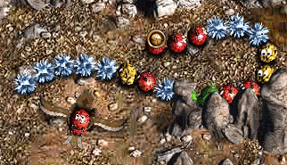 Svetlograd Zuma Game: zuma