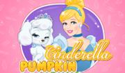 Cinderella Pumpkin Accident