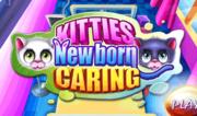 Kitties Newborn Caring