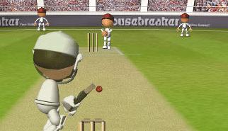 Gioca a Flash Cricket 2