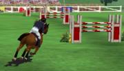 Corsa ad Ostacoli - Horse Race