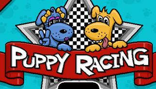 Gioca a Puppy Racing