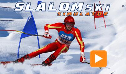 Slalom Ski Simulator