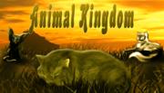 Gli Animali - Animal Kingdom