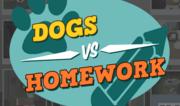 Dogs vs Homework