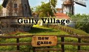 Gully Village
