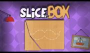 Slice the Box