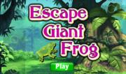 Escape Giant Frog