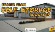 Escape from Self Storage Brooklin