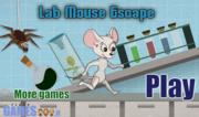 Topo in Fuga - Lab Mouse Escape