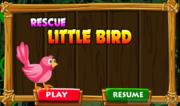 Rescue Little Bird