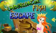 Underwater Fish Escape