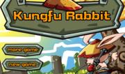 Kungfu Rabbit