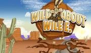 Wild about Wile E. Coyote