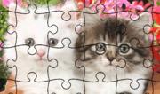 Jigsaw Puzzle - Cute Kittens
